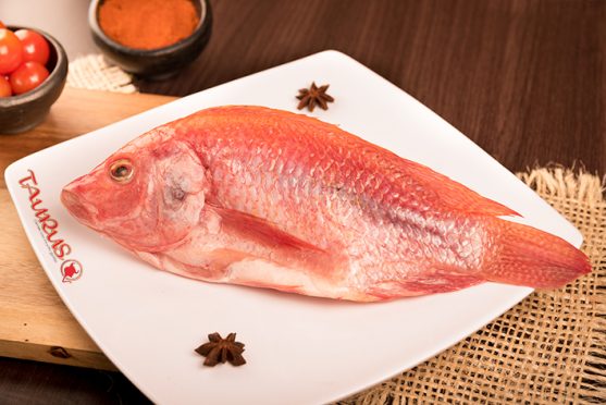 Mojarra (Libra)