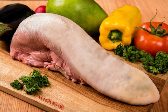 Lengua